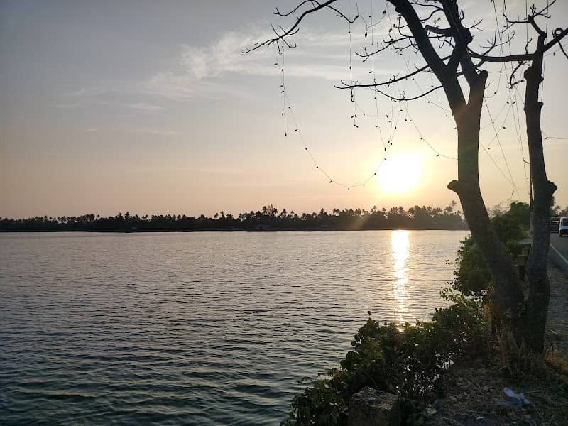 Cherai Beach Road View Point - Image 1