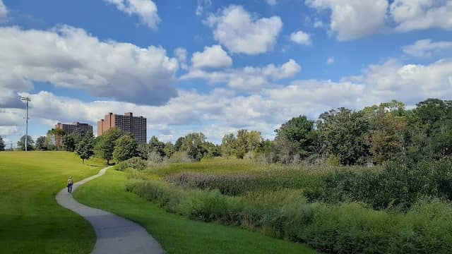 Danehy Park - Image 1