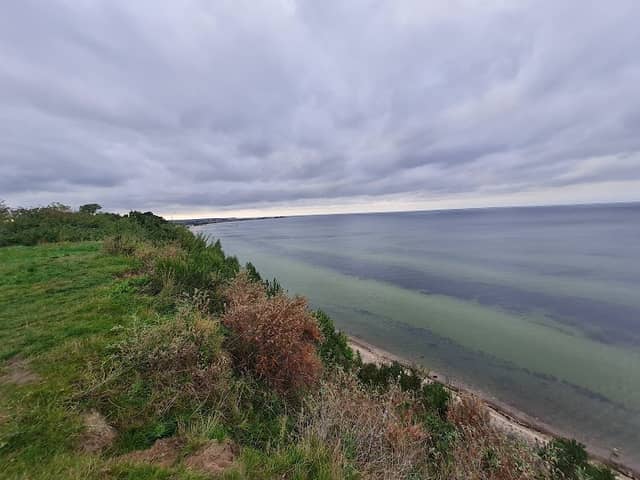 Widok na morze - Image 1