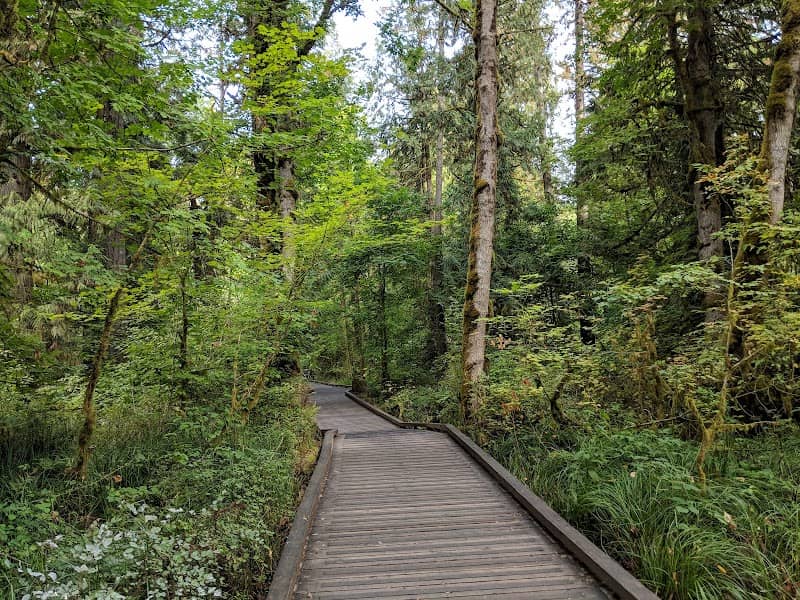 Tualatin Hills Nature Park - Image 2