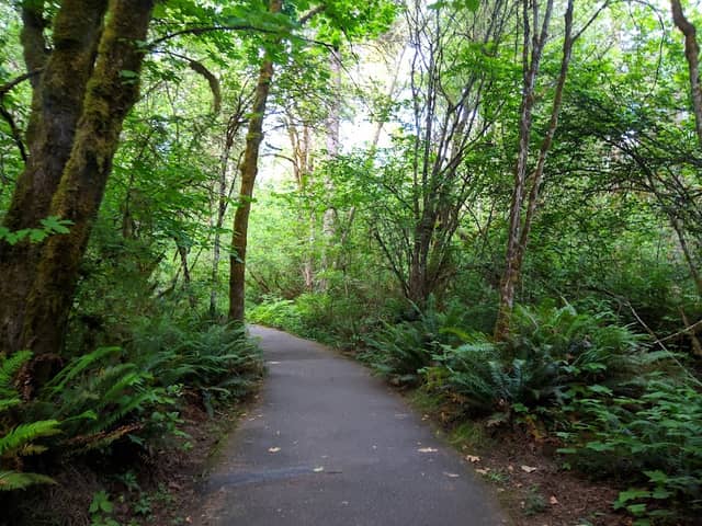 Tualatin Hills Nature Park - Image 1