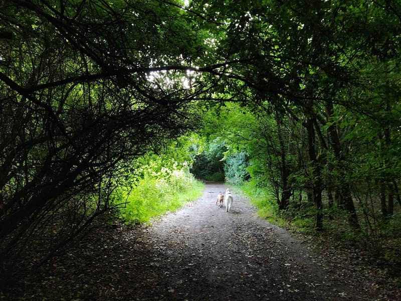 Fibbersley Nature Reserve - Image 1