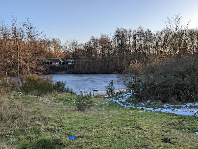 Fibbersley Nature Reserve - Image 2