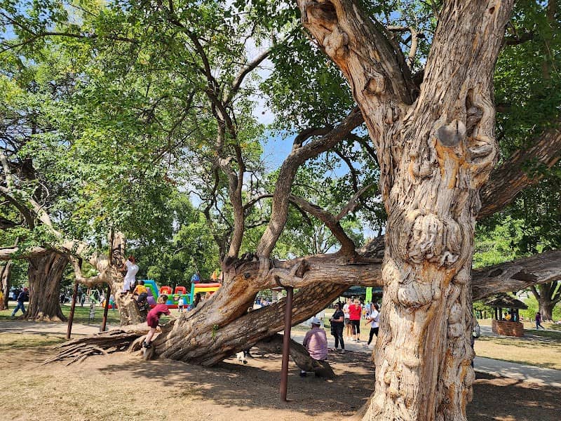 Sar-Ko-Par Trails Park - Image 3