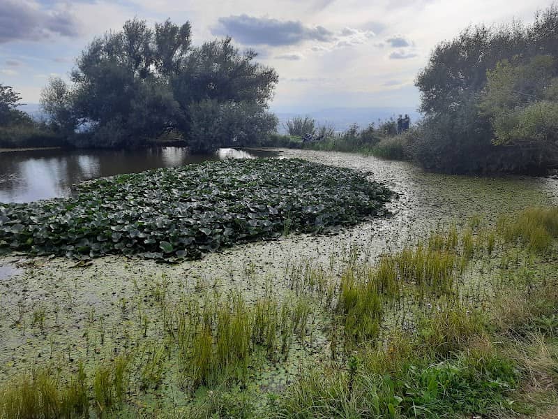 Monastic Lake - Image 1