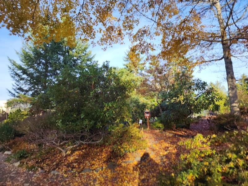 Elda Behm's Paradise Garden - Image 1