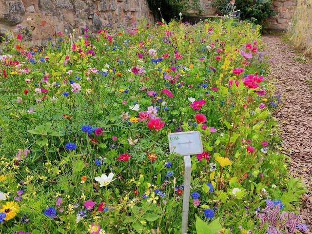 Burggarten Cadolzburg - Image 2