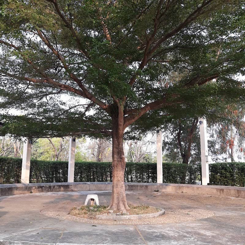 Prueklada 2 Park - Image 2