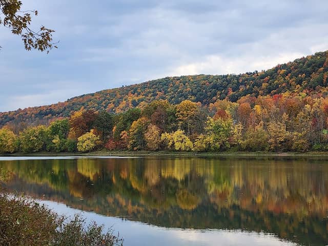 Hickories Park - Image 1