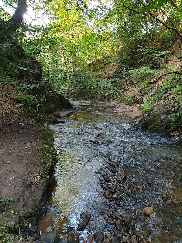Woodlands Park - Image 2