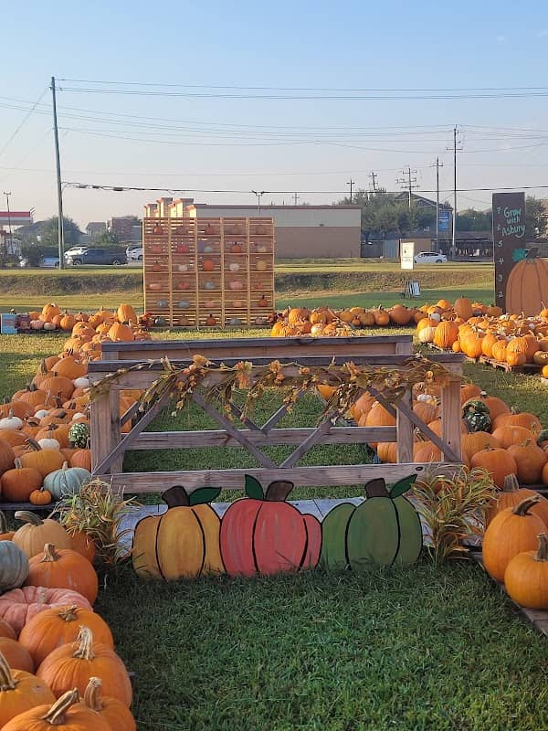 Pumpkin Patch at Asbury Church - Image 1