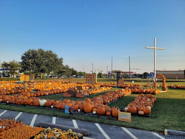 Pumpkin Patch at Asbury Church - Image 2