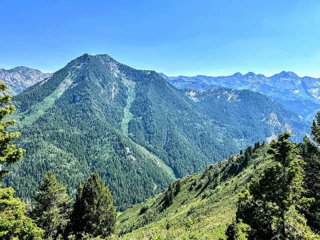 Butler Fork Trailhead - Image 1