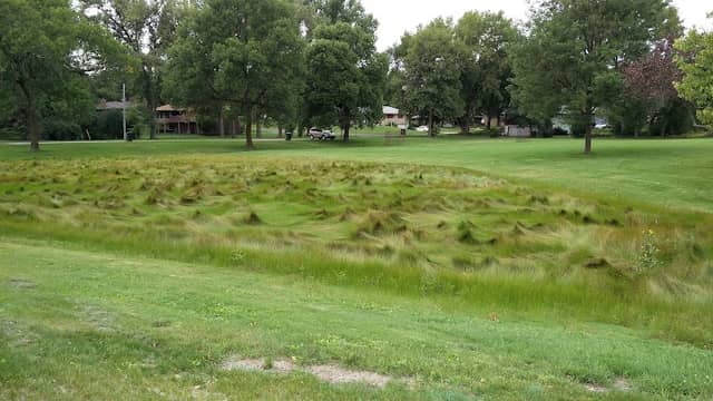 Hampshire Park - Image 2