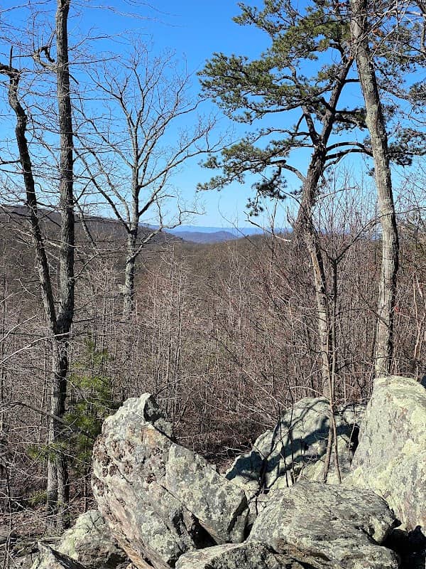 Buzzard Hill - Image 1