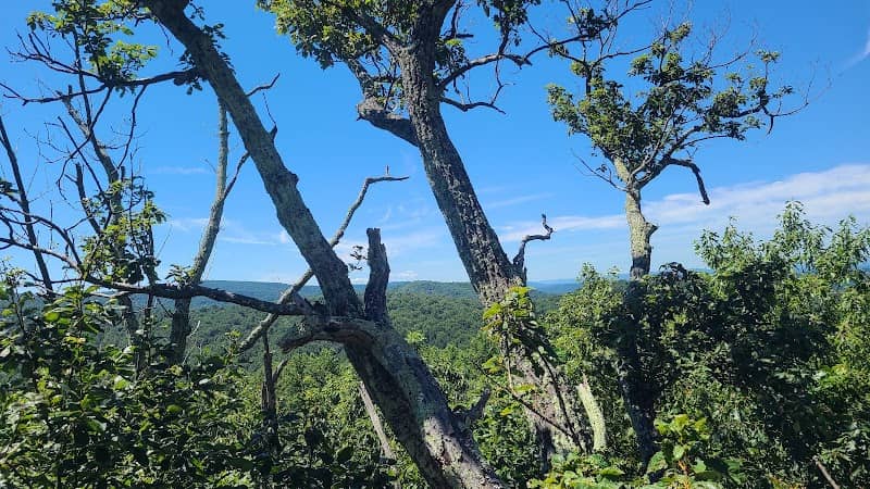 Buzzard Hill - Image 2