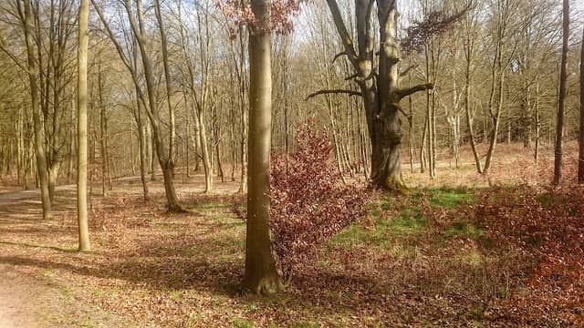Lenné-Park Görlsdorf, Parkplatz - Image 1