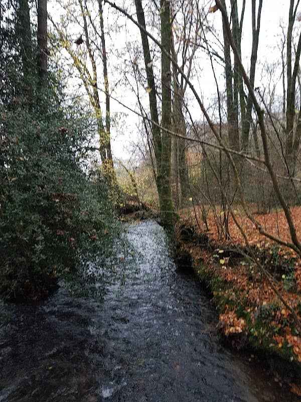 National Trust - Bradley - Image 2