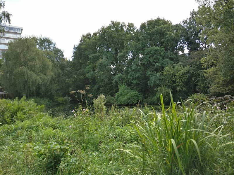 Meanderpark - Image 2