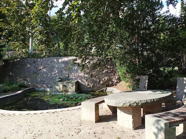 Froschkönig - Image 1
