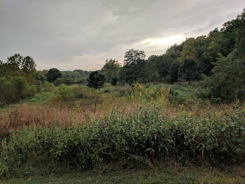 3M Flat Branch-Hinkson Creek Wetlands - Image 2