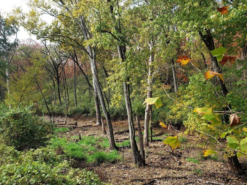 3M Flat Branch-Hinkson Creek Wetlands - Image 1