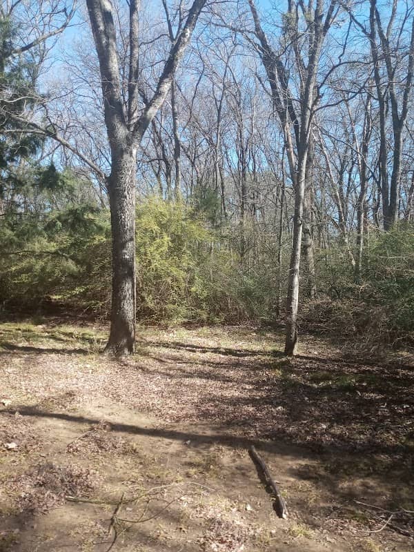 James McKnight Park West - Image 3