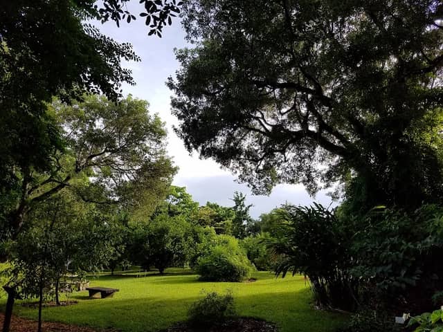 Gifford Arboretum - Image 2