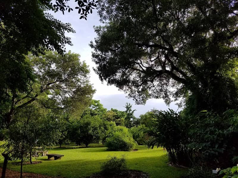 Gifford Arboretum - Image 2