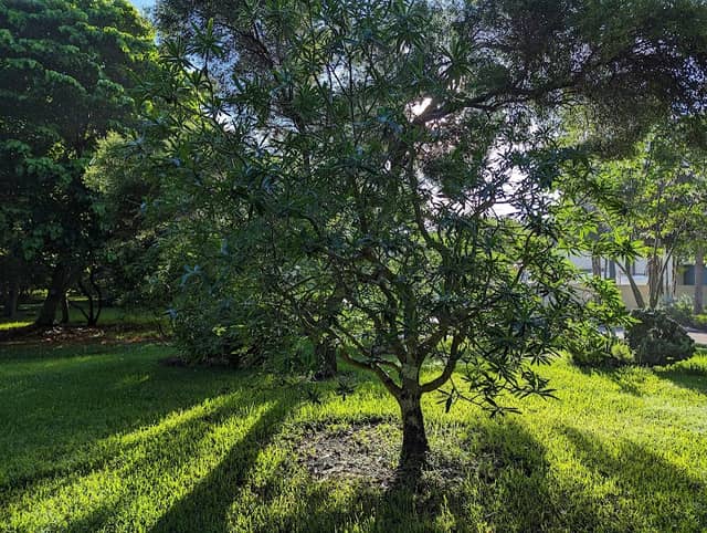 Gifford Arboretum - Image 1