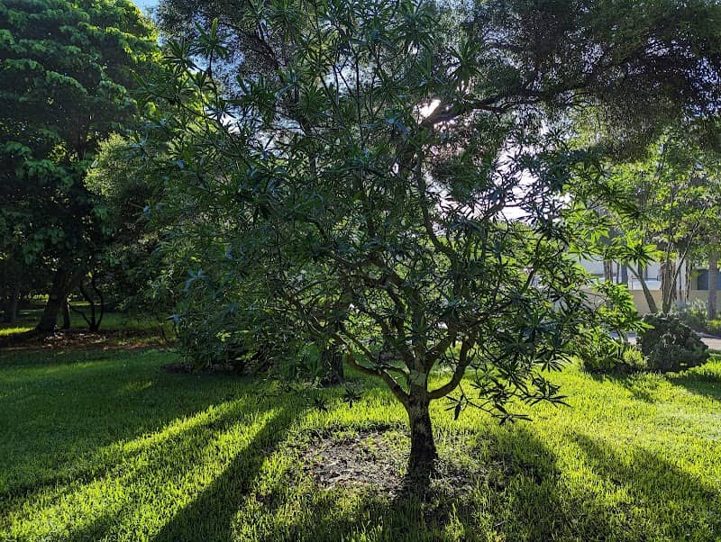 Gifford Arboretum - Image 1