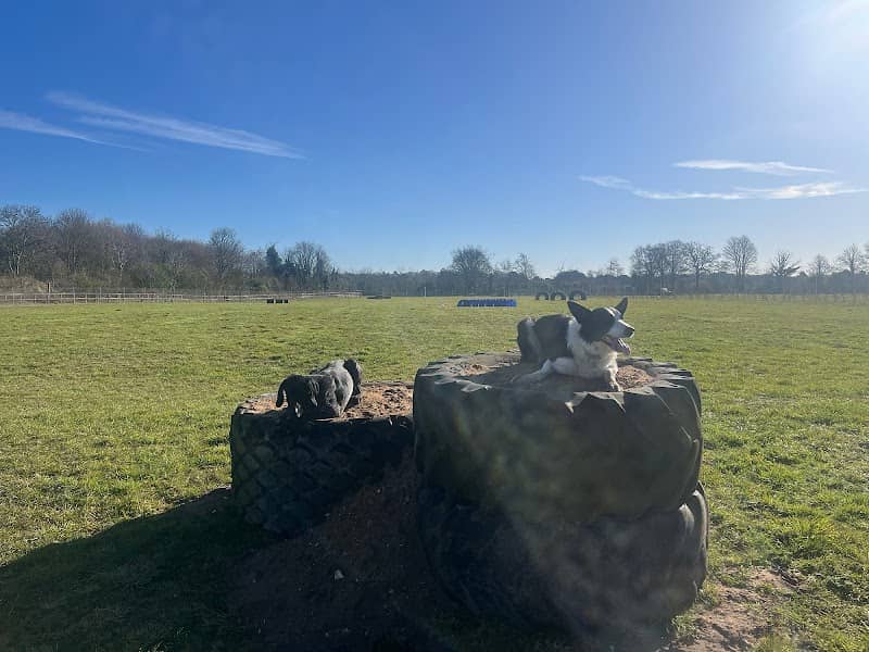 Warren Dog Park - Image 1