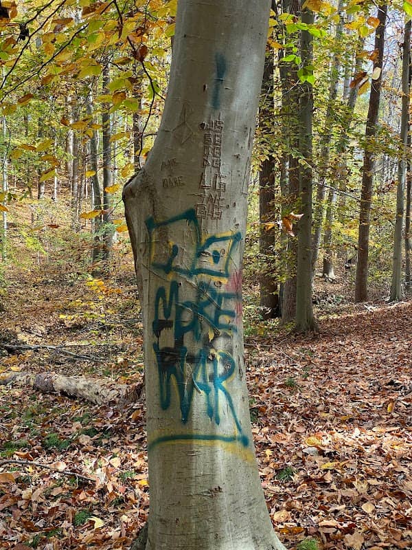Smith Run Trail - Image 2