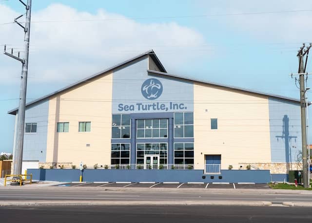 Sea Turtle, Inc. - Image 2