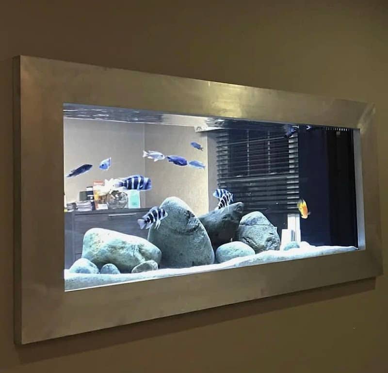Skye Aquariums - Image 1