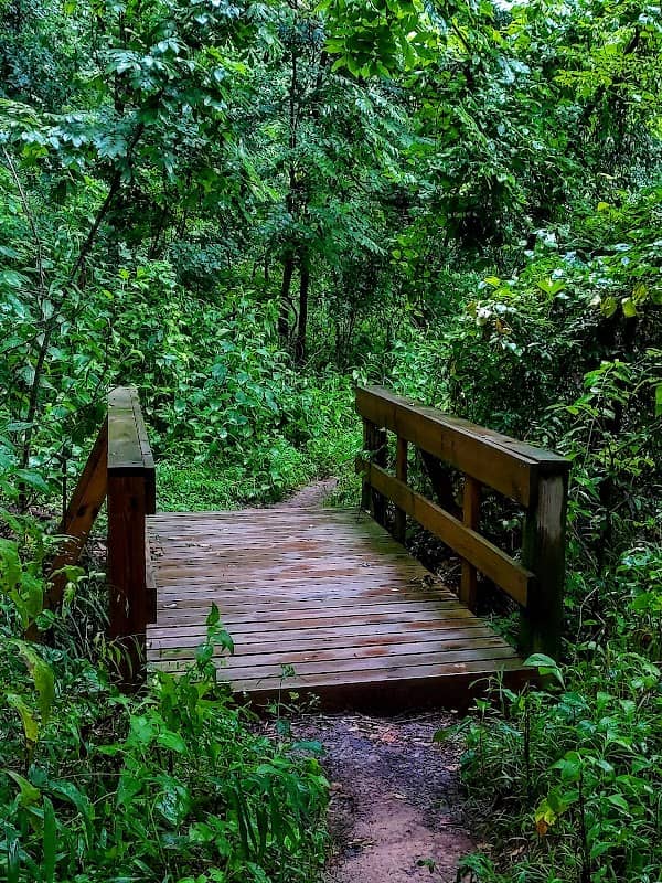 Powers Island Trail - Image 1