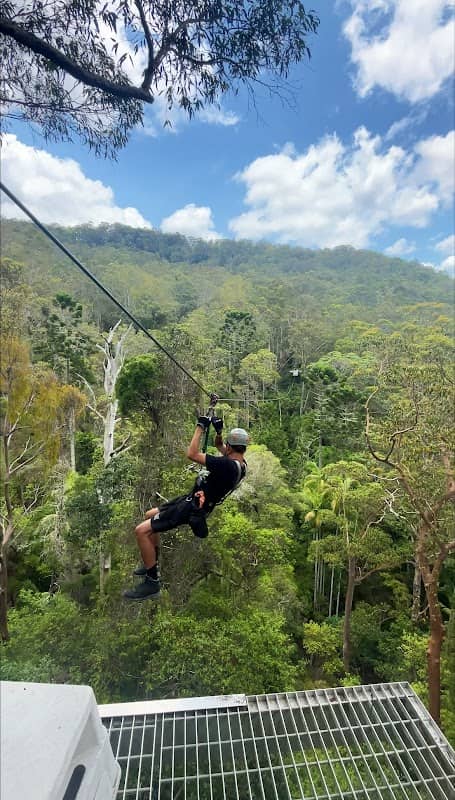 TreeTop Challenge Mt Tamborine - Australia's Largest High Ropes Adventure Park - Image 3