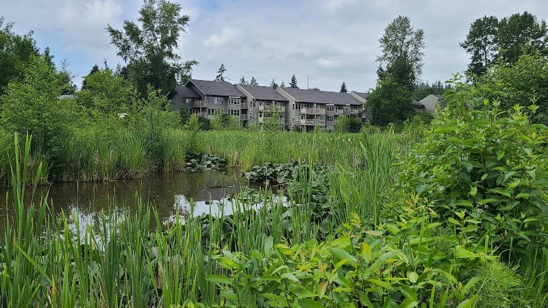 Scudder Pond Nature Preserve - Image 3