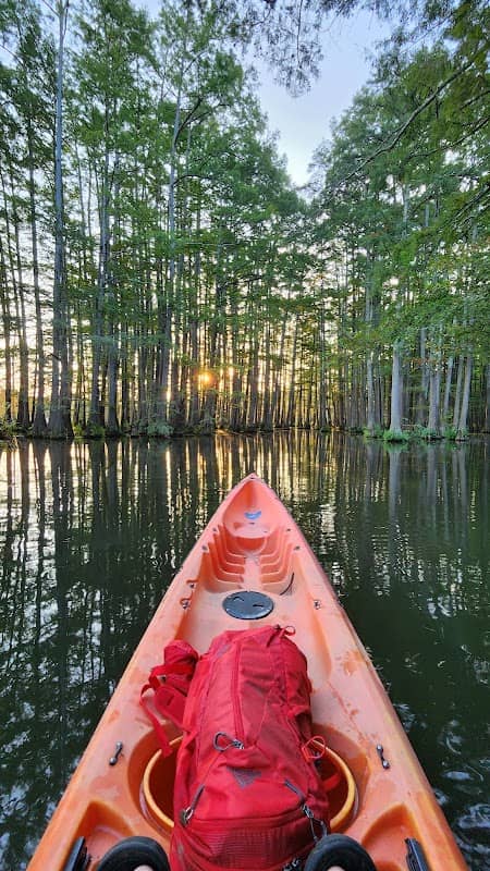 Canoes, Nature Conservancy - Image 2