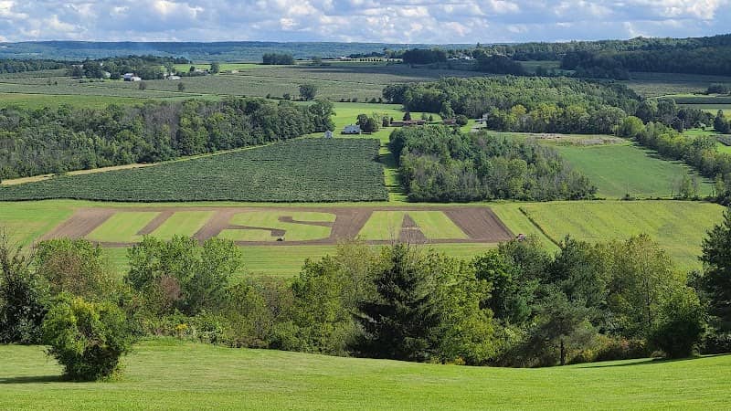 Branchport, NY - USA Field - Image 1