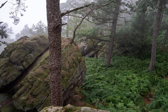 Schlucht mit Höhlen - Image 1