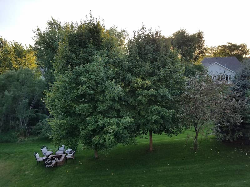 Woodview Park - Image 2