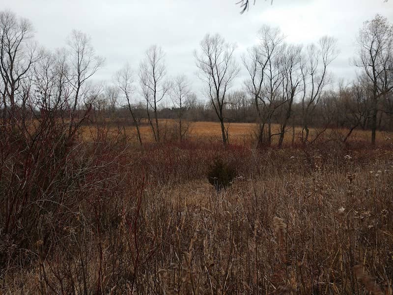 Senn-Rich Wildlife Management Area - Image 2