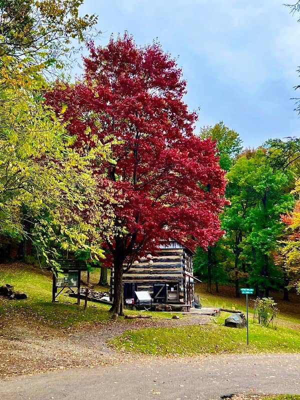 Washington Park Log Cabin - Image 1