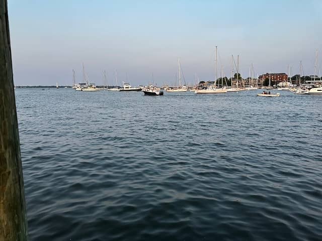 Susan Campbell Park - Image 3