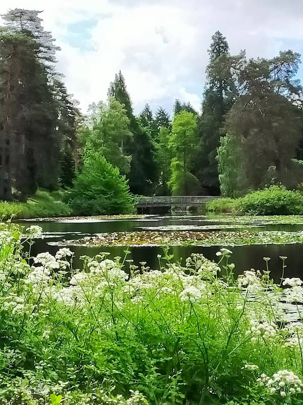 Bedgebury Park - Image 1