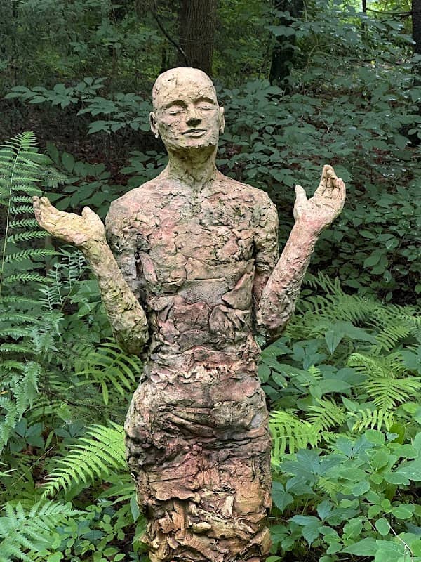 North Carolina Botanical Garden - Image 2