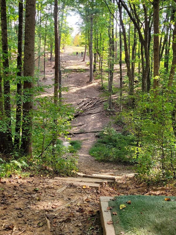 Richmond Hill Park - Image 1