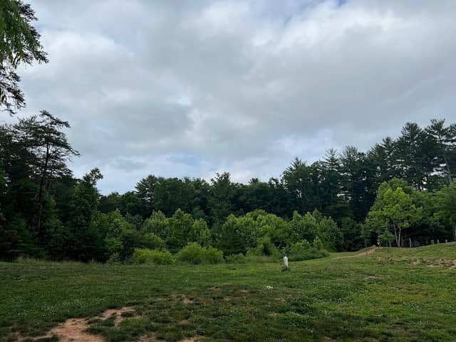 Richmond Hill Park - Image 2