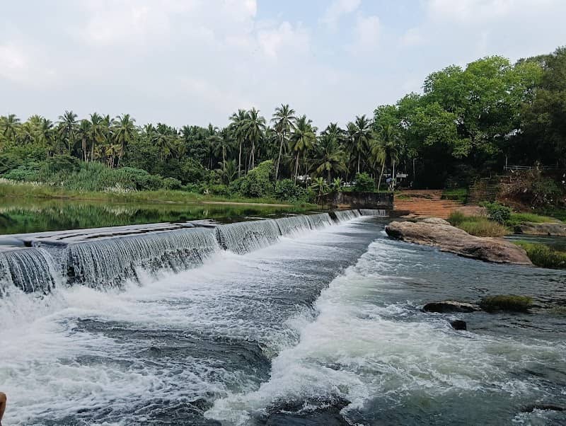 Pothozhi Kavu Check Dam - Image 1
